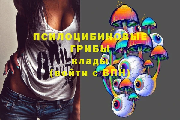дурь Алексеевка