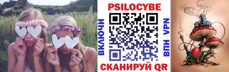 Псилоцибиновые грибы прущие грибы Геленджик