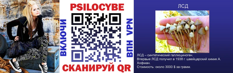 Галлюциногенные грибы Psilocybine cubensis  Геленджик 
