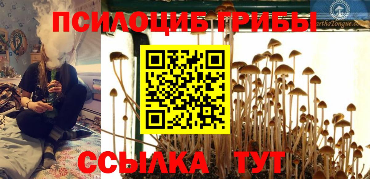 Геленджик  Псилоцибиновые грибы мицелий  Вход с VPN 