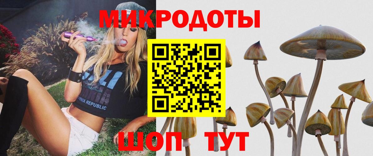 Галлюциногенные грибы мицелий Геленджик
